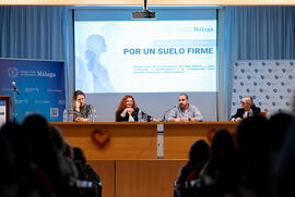 Jornadas Multidisciplinares "Por un Suelo Firme" (imagen 48)